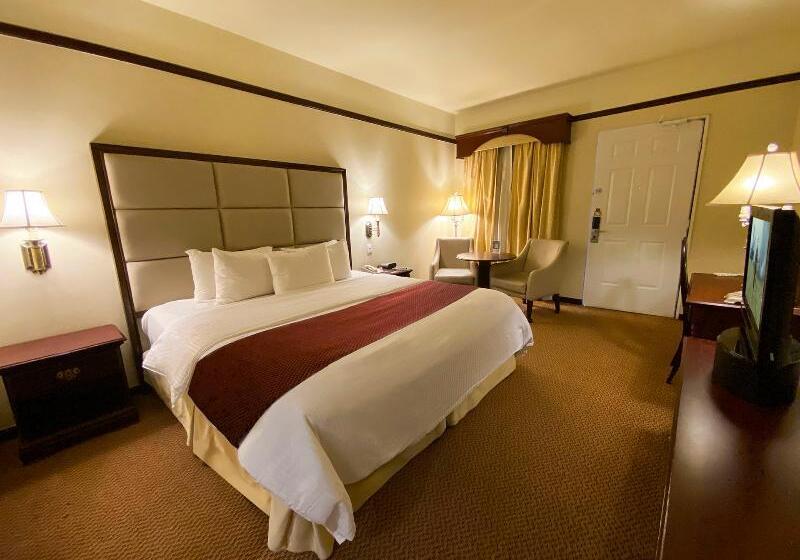 Стандартный Номер Кровать Кинг, Safi Royal Luxury Centro