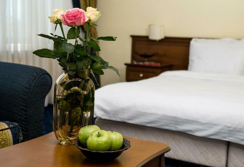 Номер Стандарт Индивидуальный, Park Hotel Sankt Peterburg