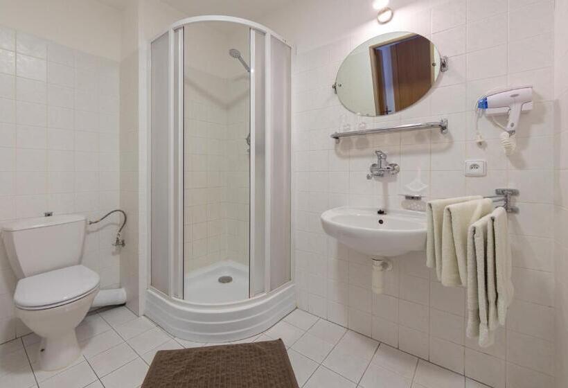 غرفة قياسية, Alfa