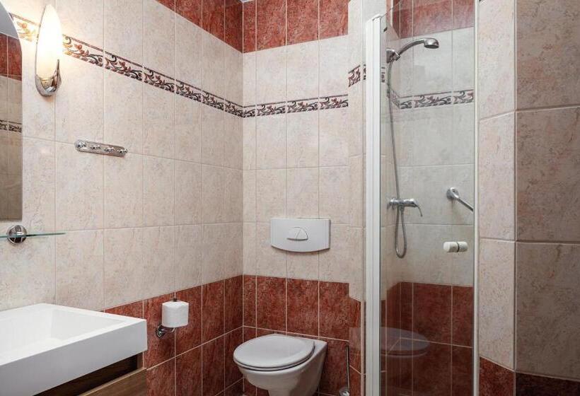 Pokój Standard Jednoosobowy, Bajkal