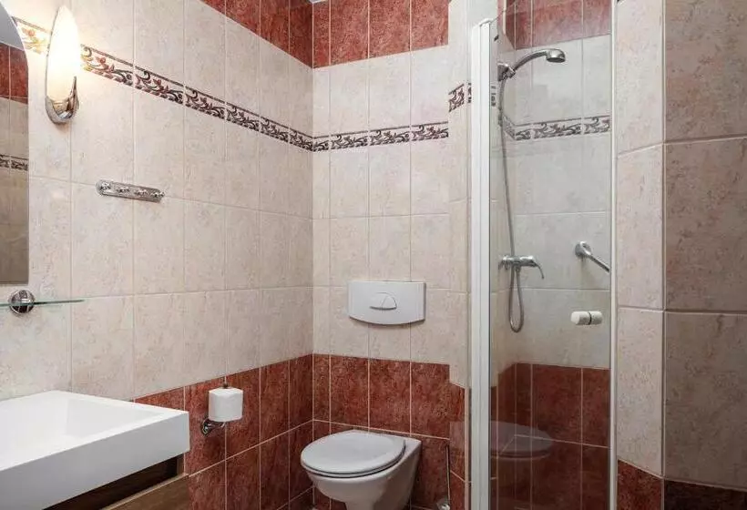 اتاق استاندارد, Bajkal