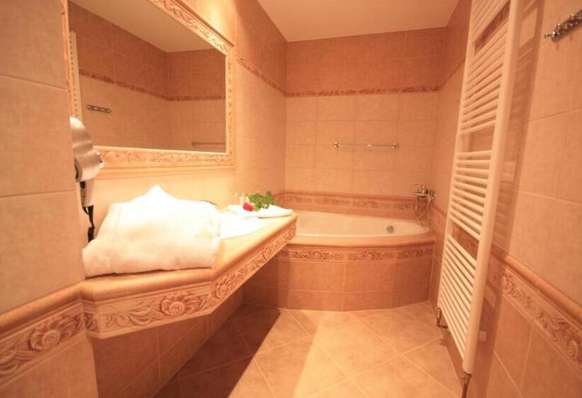 Pokój Superior, Bajkal