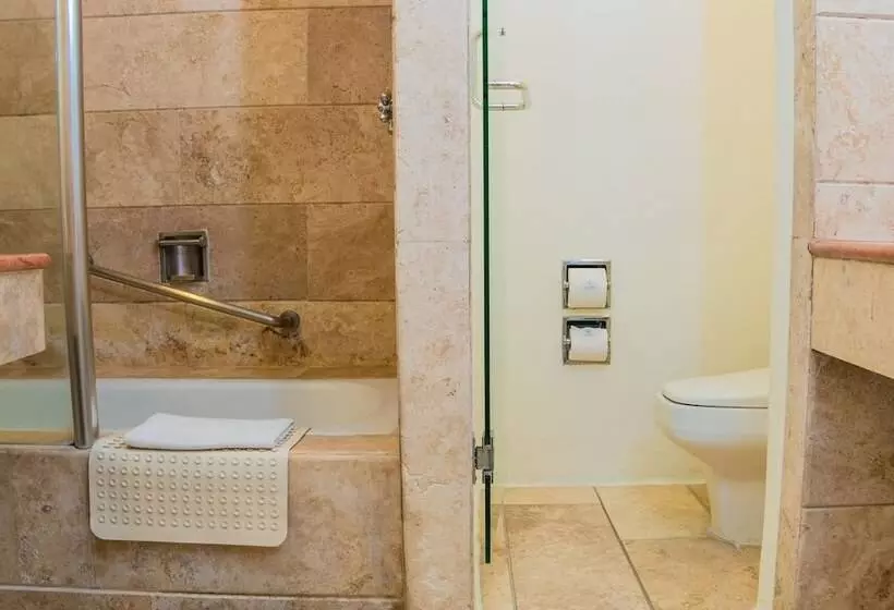 デラックスルーム, Camino Real Zaashila Huatulco