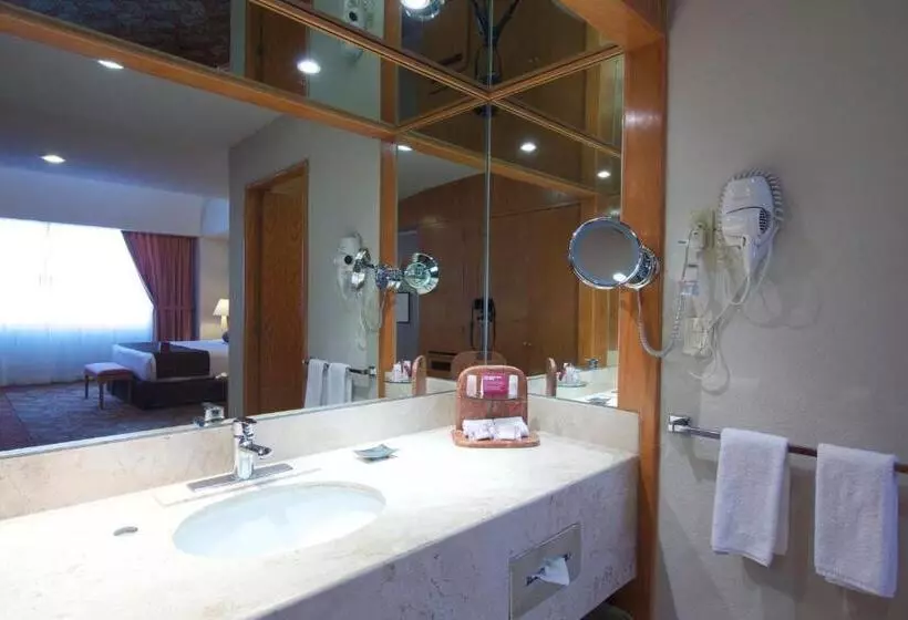 ２ダブルベッドのスタンダードルーム, Crowne Plaza Hotel Mexico City North Tlalnepantla, An Ihg