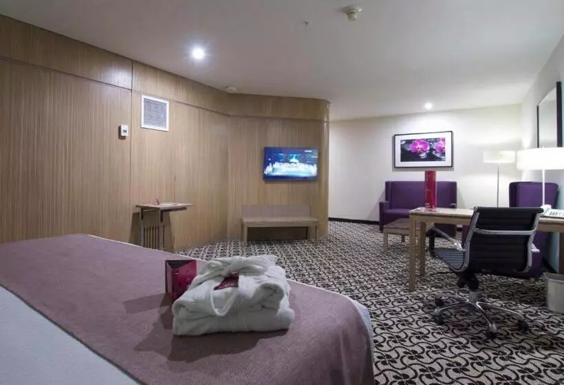 スタンダードルーム, Crowne Plaza Hotel Mexico City North Tlalnepantla, An Ihg