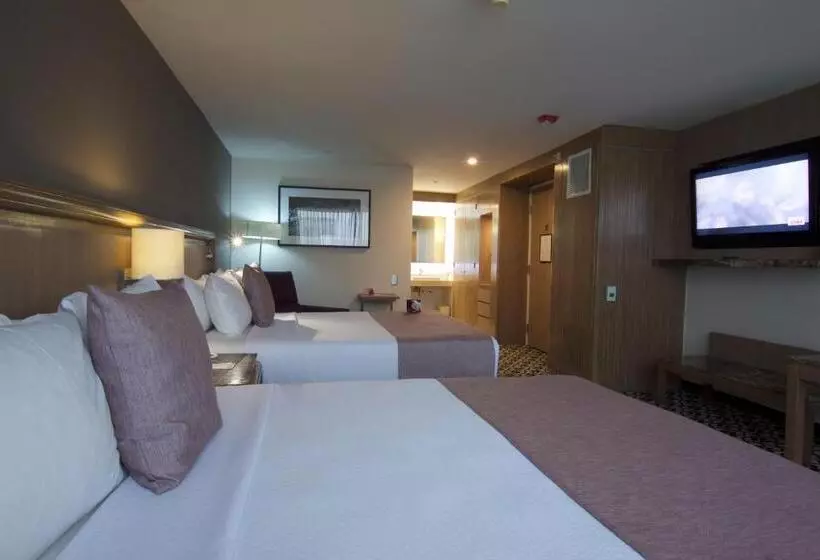 身障者適用スタンダードルーム, Crowne Plaza Hotel Mexico City North Tlalnepantla, An Ihg