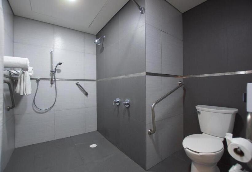 اتاق استاندارد برای معلولان, Crowne Plaza Hotel Mexico City North Tlalnepantla, An Ihg