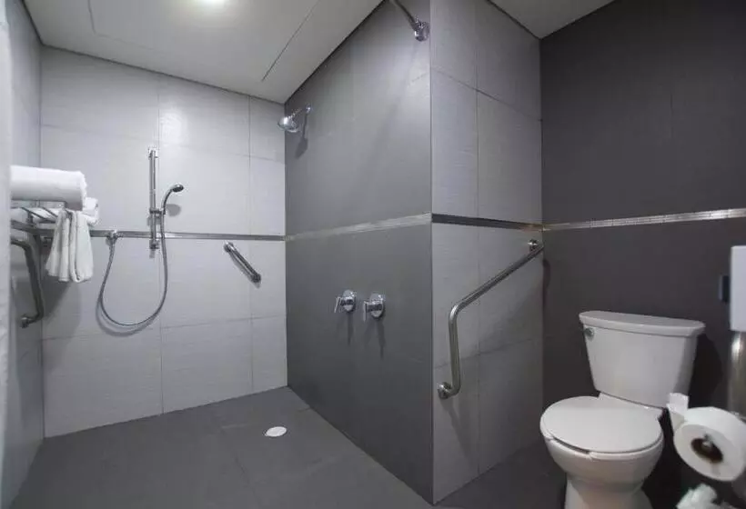 身障者適用スタンダードルーム, Crowne Plaza Hotel Mexico City North Tlalnepantla, An Ihg