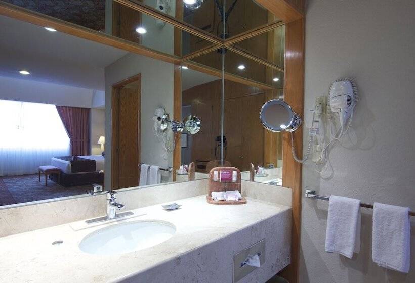 اتاق استاندارد, Crowne Plaza Hotel Mexico City North Tlalnepantla, An Ihg