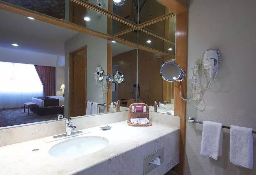 スタンダードルーム, Crowne Plaza Hotel Mexico City North Tlalnepantla, An Ihg