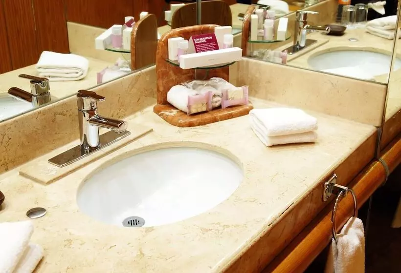 スタンダードルーム, Crowne Plaza Hotel Mexico City North Tlalnepantla, An Ihg
