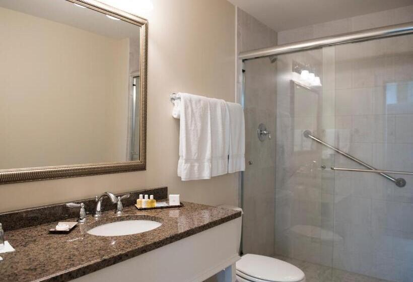 キングサイズベッドのスタンダードルーム, Fulton Lane Inn