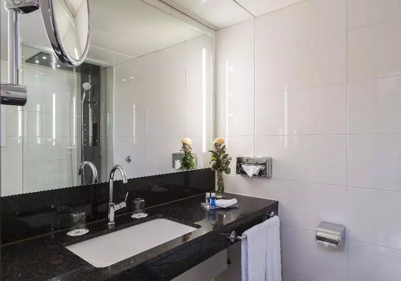 اتاق استاندارد با چشم‌انداز رودخانه, Ibis Amsterdam Centre