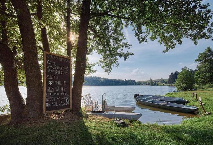 Четырехместный Номер Стандарт, Medlov
