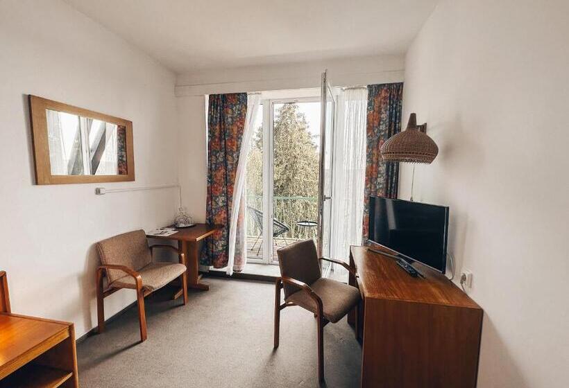 Номер Deluxe с Балконом, Medlov