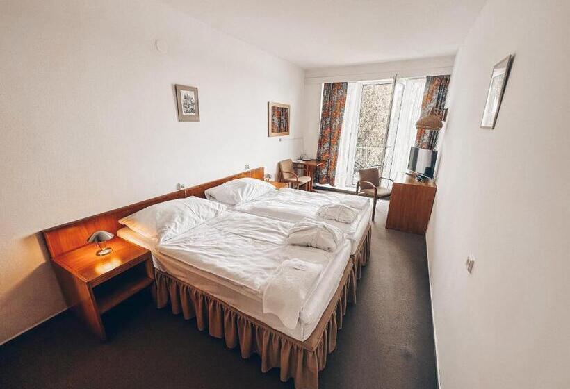 Номер Deluxe с Балконом, Medlov