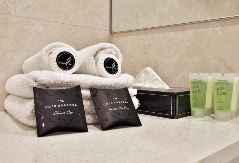 标准间, Comfort Hotel Dandenong