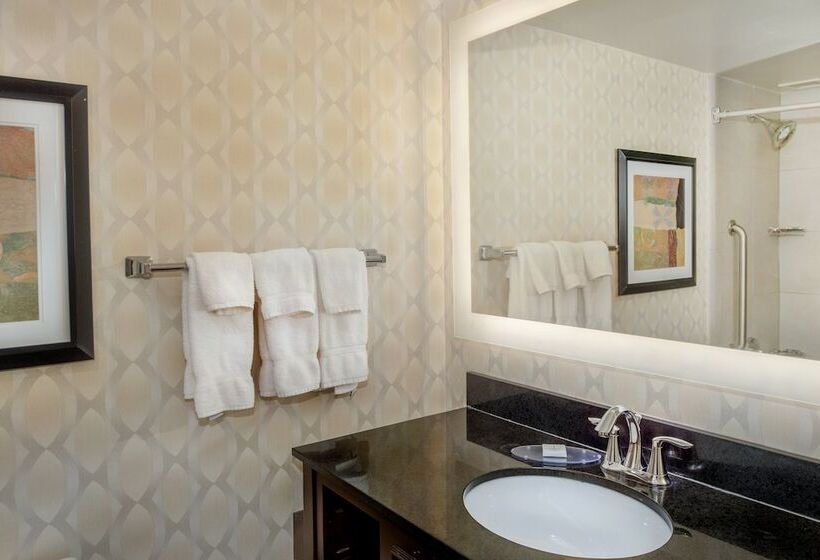 Номер Стандарт 2 Двуспальные Кровати, Crowne Plaza Hotel St. Louis Airport, An Ihg