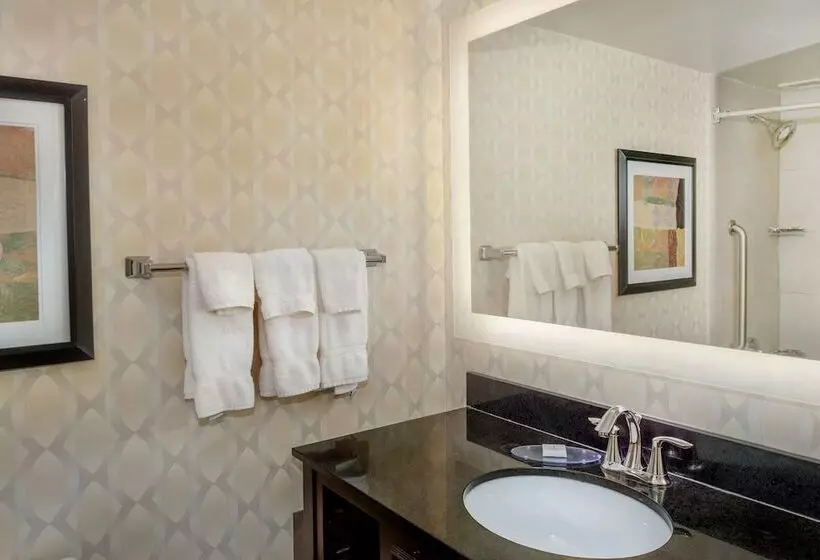 اتاق استاندارد با 2 تخت دوبل, Crowne Plaza Hotel St. Louis Airport, An Ihg