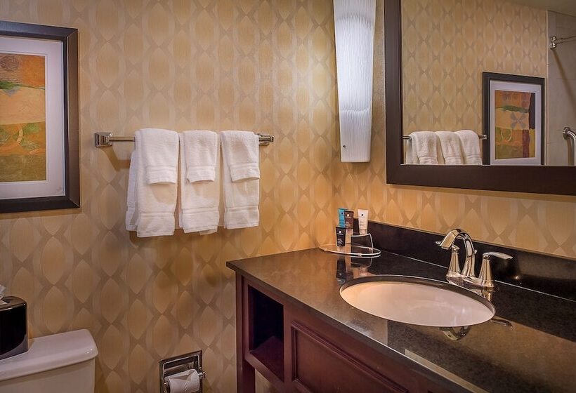 غرفه قياسيه سريرين مزدوجين, Crowne Plaza Hotel St. Louis Airport, An Ihg