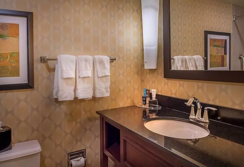 اتاق استاندارد با 2 تخت دوبل, Crowne Plaza Hotel St. Louis Airport, An Ihg