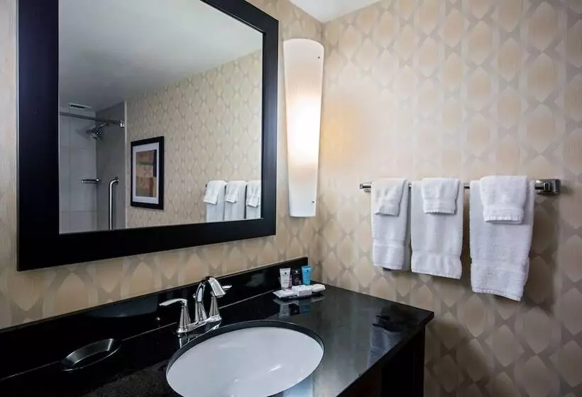 اتاق استاندارد با 2 تخت دوبل, Crowne Plaza Hotel St. Louis Airport, An Ihg