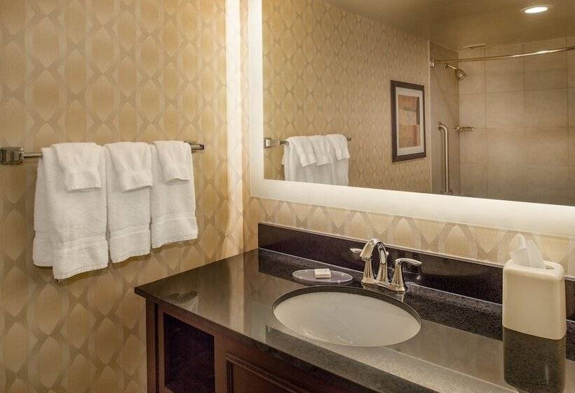 غرفه قياسيه سريرين مزدوجين, Crowne Plaza Hotel St. Louis Airport, An Ihg