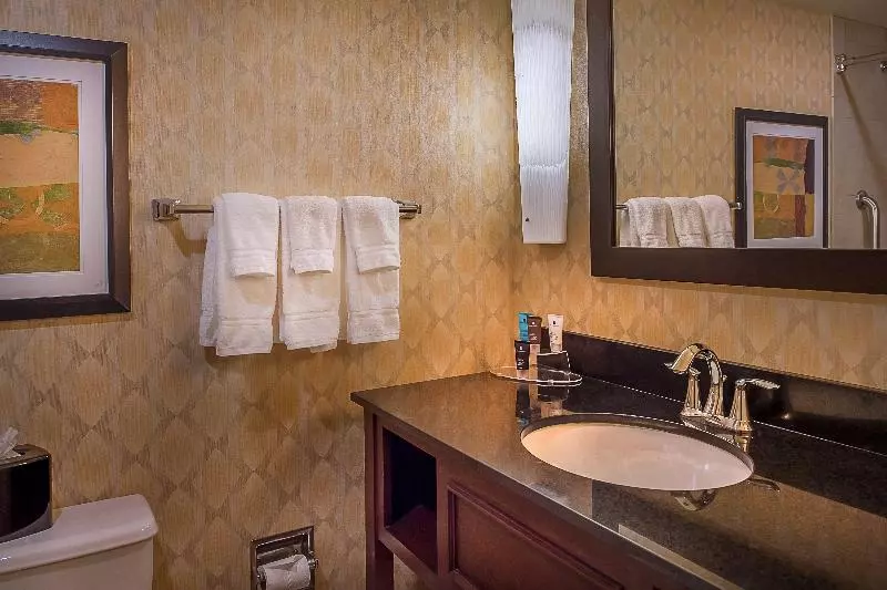اتاق اجرایی با تخت بزرگ, Crowne Plaza Hotel St. Louis Airport, An Ihg