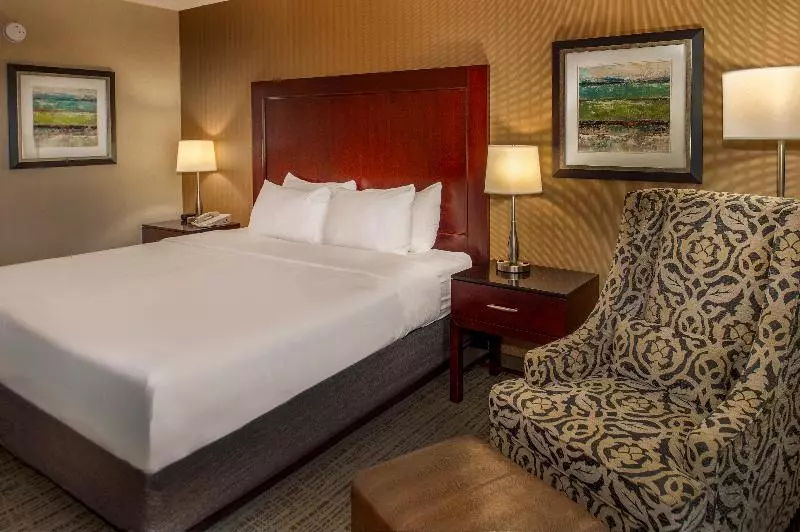 اتاق استاندارد با تخت بزرگ, Crowne Plaza Hotel St. Louis Airport, An Ihg