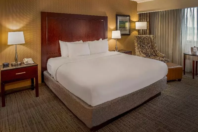 اتاق استاندارد با تخت بزرگ, Crowne Plaza Hotel St. Louis Airport, An Ihg
