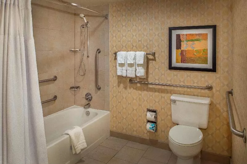 اتاق استاندارد با تخت بزرگ برای معلولان, Crowne Plaza Hotel St. Louis Airport, An Ihg