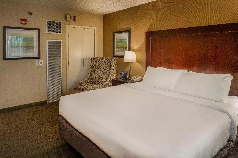 اتاق استاندارد با تخت بزرگ برای معلولان, Crowne Plaza Hotel St. Louis Airport, An Ihg