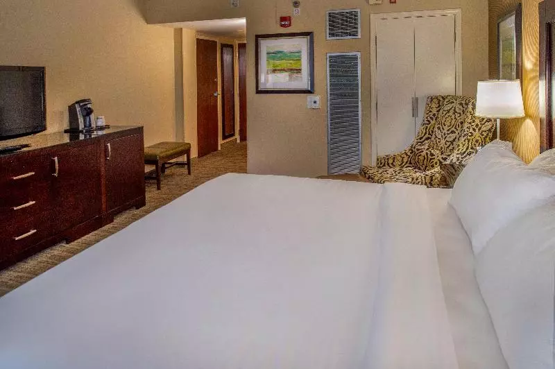 اتاق استاندارد با تخت بزرگ برای معلولان, Crowne Plaza Hotel St. Louis Airport, An Ihg