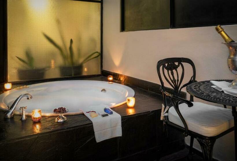 اتاق لوکس, Melia Recoleta Plaza