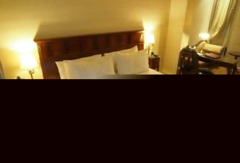 اتاق لوکس, Melia Recoleta Plaza