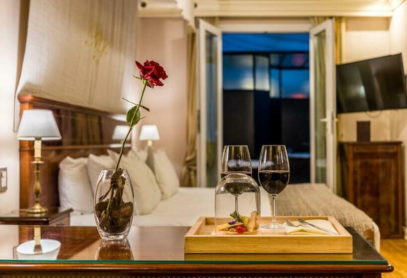 اتاق لوکس, Melia Recoleta Plaza