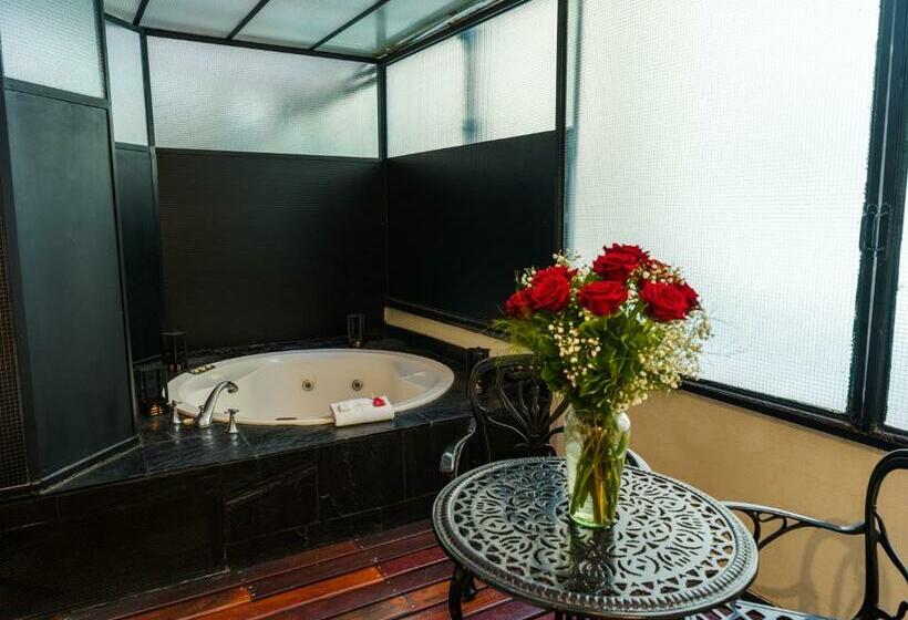 اتاق لوکس, Melia Recoleta Plaza