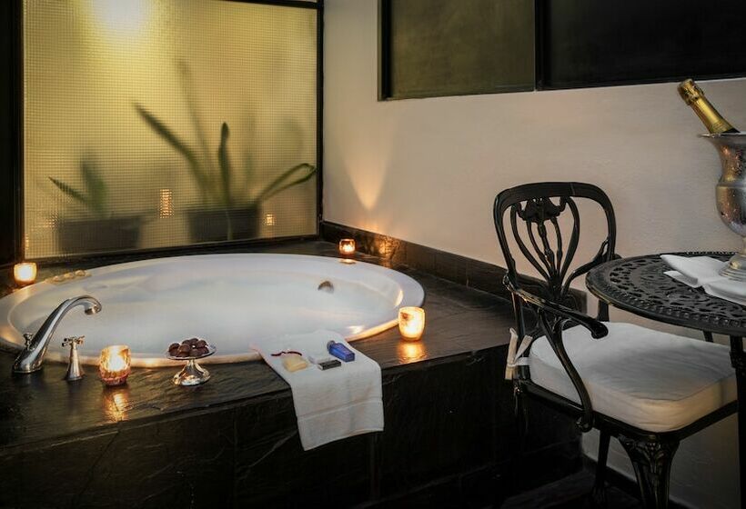 اتاق لوکس, Melia Recoleta Plaza