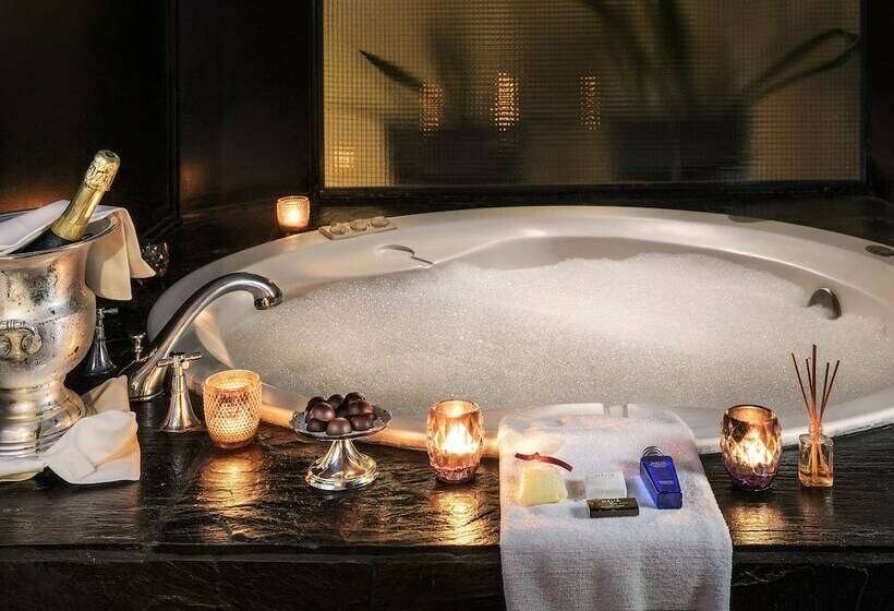 اتاق لوکس, Melia Recoleta Plaza