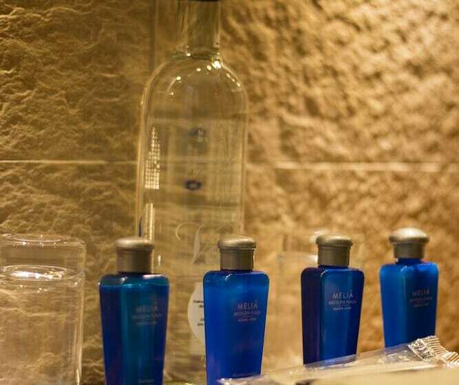 اتاق استاندارد, Melia Recoleta Plaza