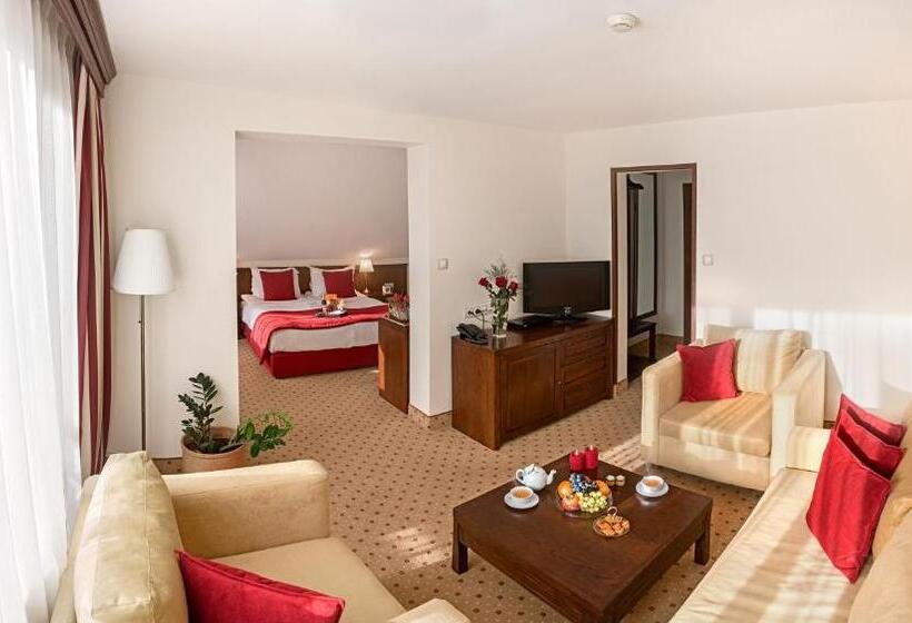 جناح جونيور, Yastrebets Wellness & Spa