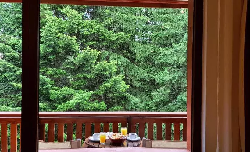 Habitació Estàndard, Yastrebets Wellness & Spa