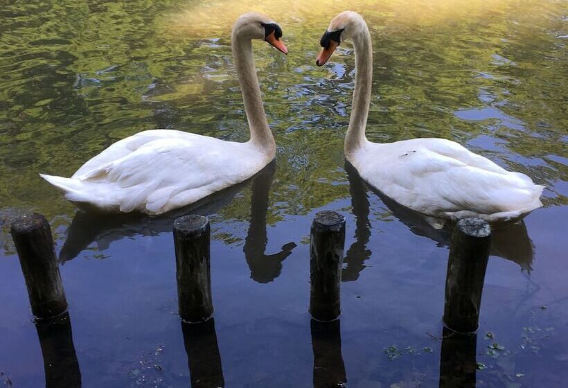 اتاق لوکس, Bilderberg Chateau Holtmuhle