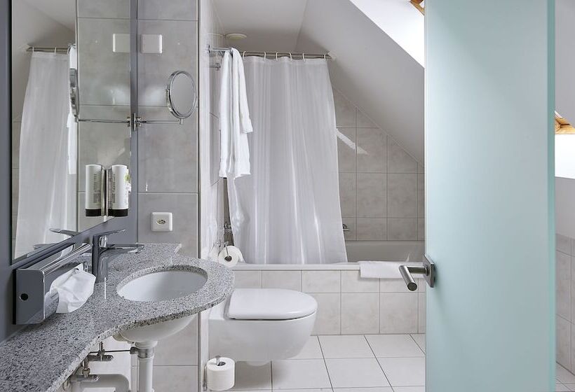 غرفة قياسية فردية, Central Luzern