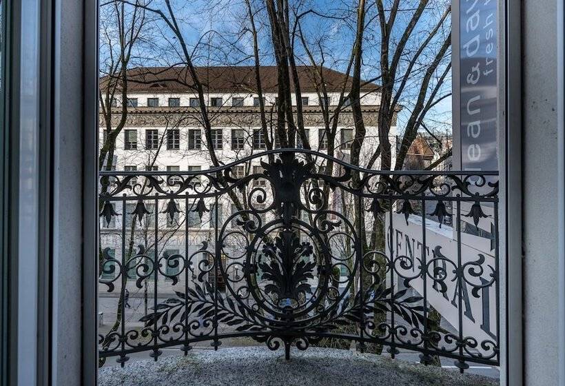 غرفة قياسية فردية, Central Luzern