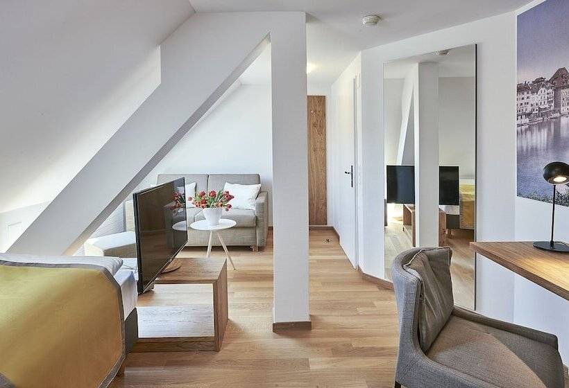 غرفة قياسية فردية, Central Luzern