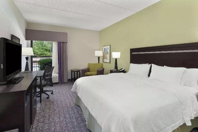 キングサイズベッドのスタンダードルーム, Hampton Inn Atlantatown Center/kennesaw
