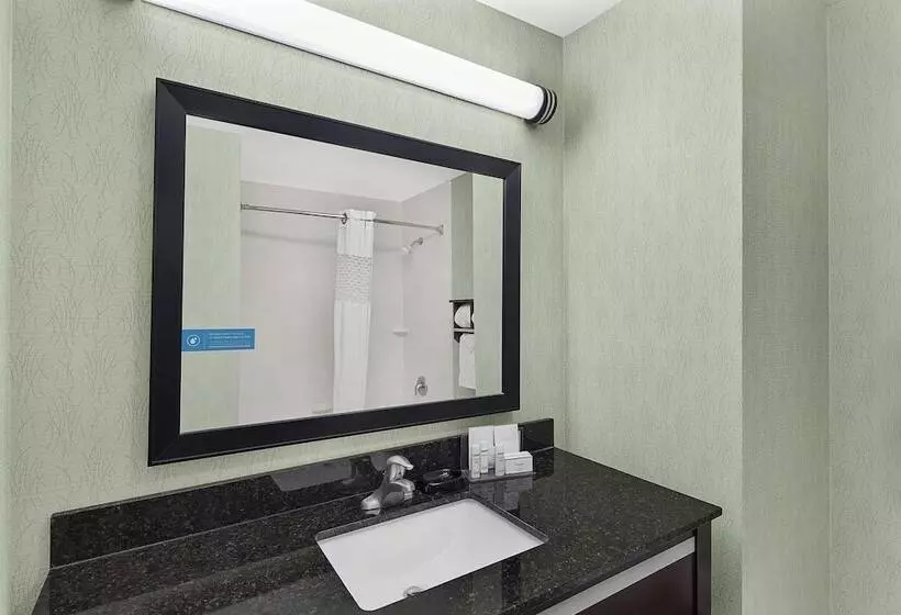 ２ダブルベッドのスタンダードルーム, Hampton Inn Atlantatown Center/kennesaw