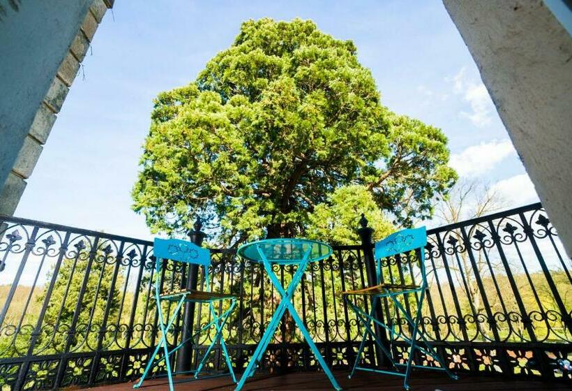 스탠다드 룸, Schloss Kaarz Mit Park