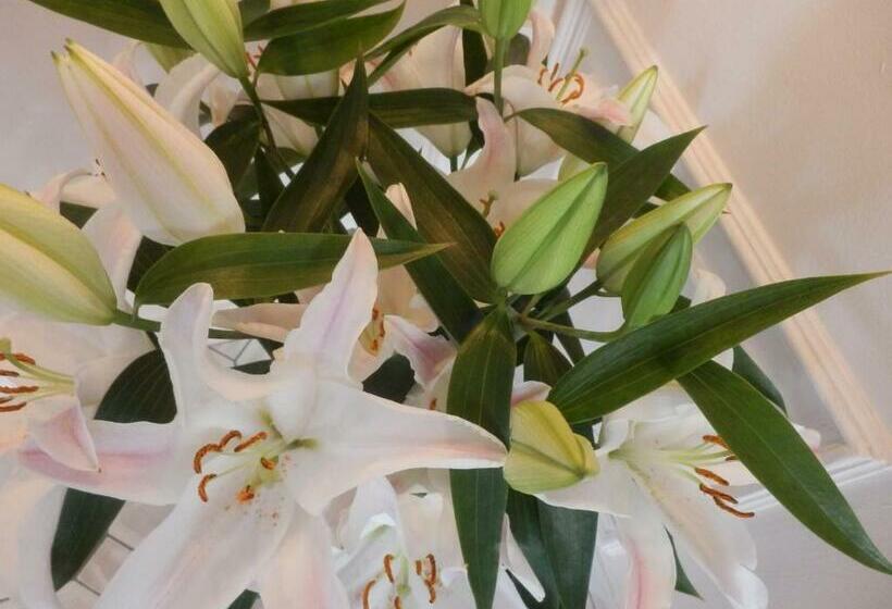 اتاق استاندارد, Turmhotel Weserblick Bremen